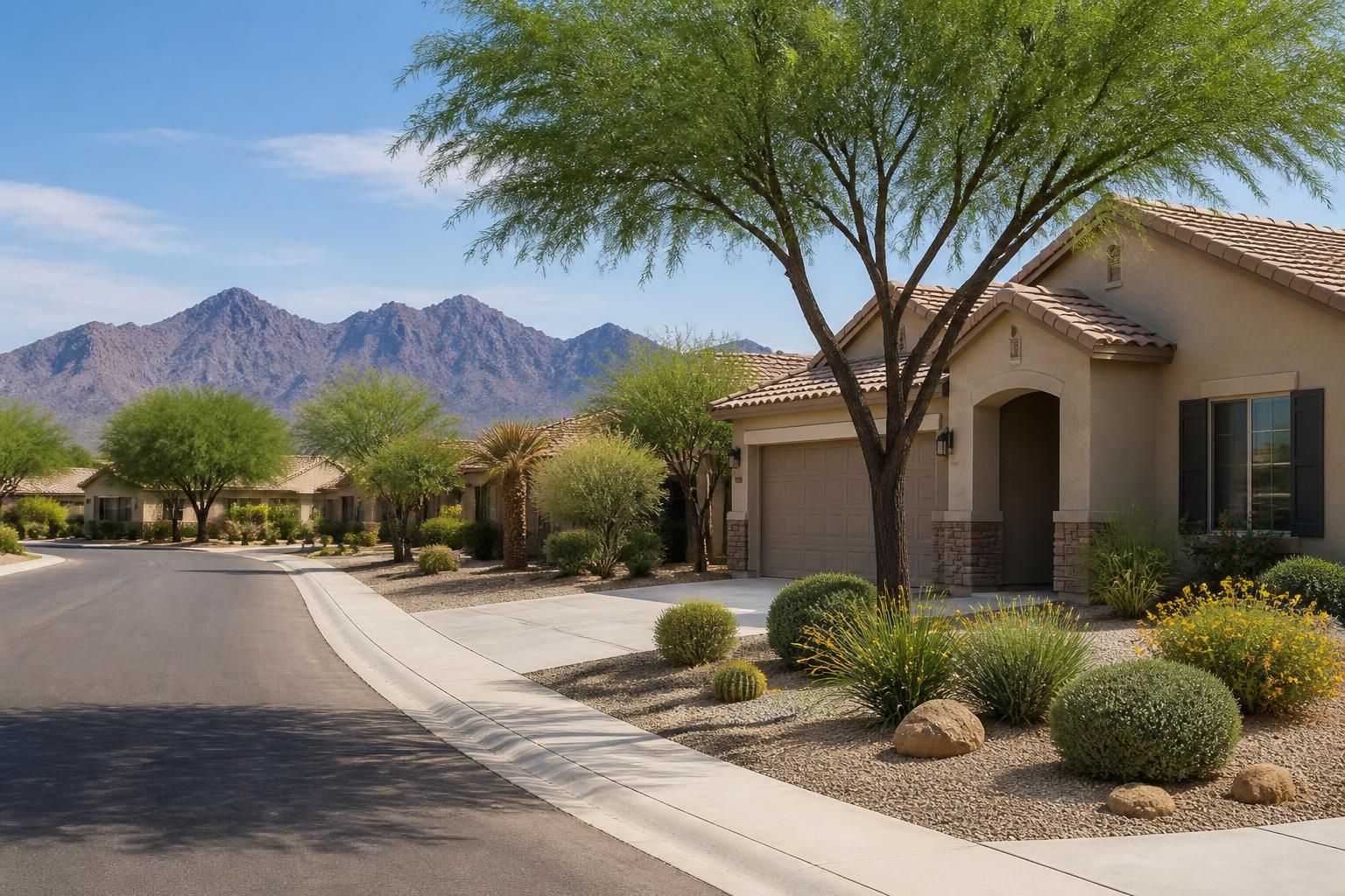 Sunlit Mesa neighborhood with homes and desert-friendly landscaping.