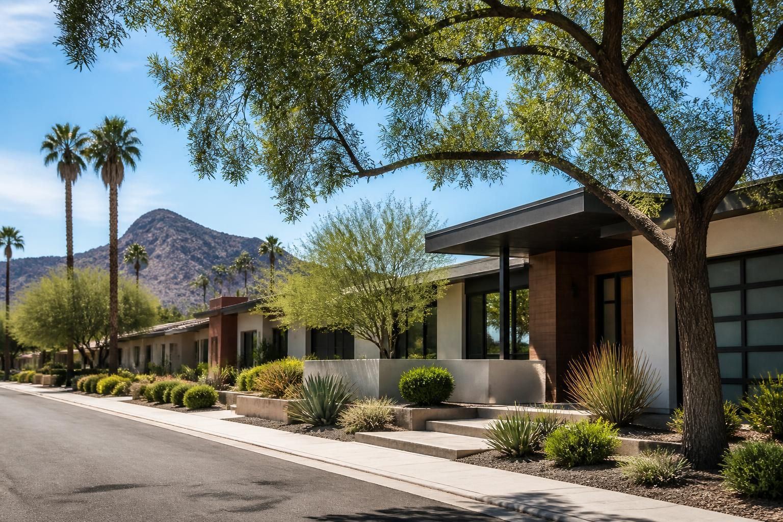 Contemporary Tempe residential scene with mature trees and bright light.